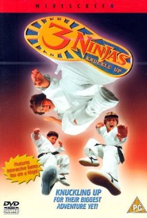 3 nindzsa nem hagyja magát (1995)