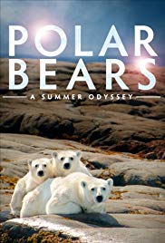 Jegesmedvék - élet a jégmezőn