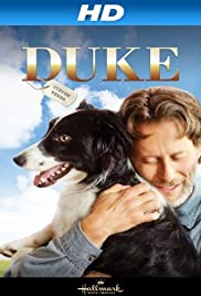 Kutyám Duke