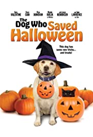 A kutya, aki megmentette a Halloweent