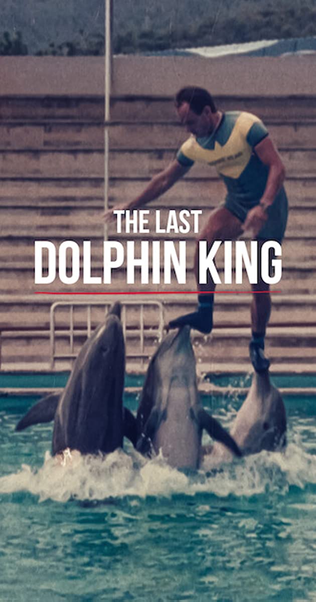 Mi történt a delfinkirállyal? 