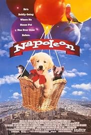 Napoleon - Kis kutya, nagy pácban