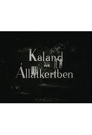 Kaland az Állatkertben