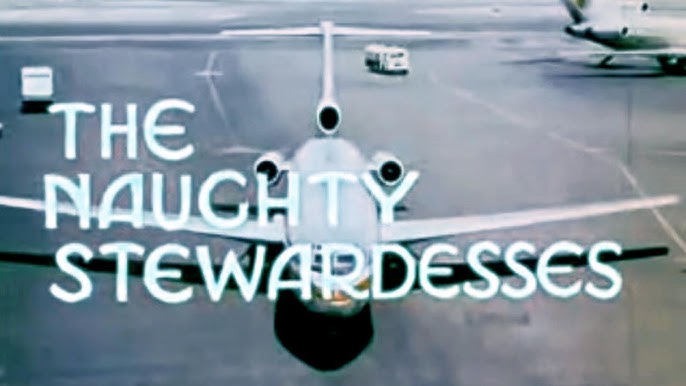 The Naughty Stewardesses