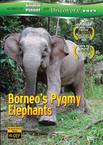 A borneói törpe elefántok (2007)