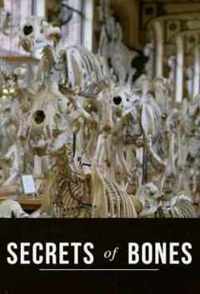 A csontok titkai (2014) : 1. évad