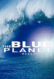 A kék bolygó - Az óceán világa