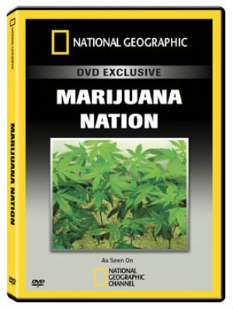 A legjövedelmezőbb haszonnövény - marihuána (2011)
