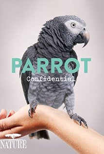 A papagájok titkai