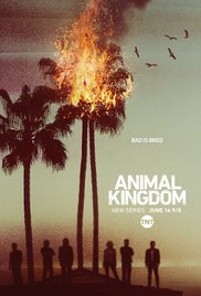 Animal Kingdom (2016) : 1. évad