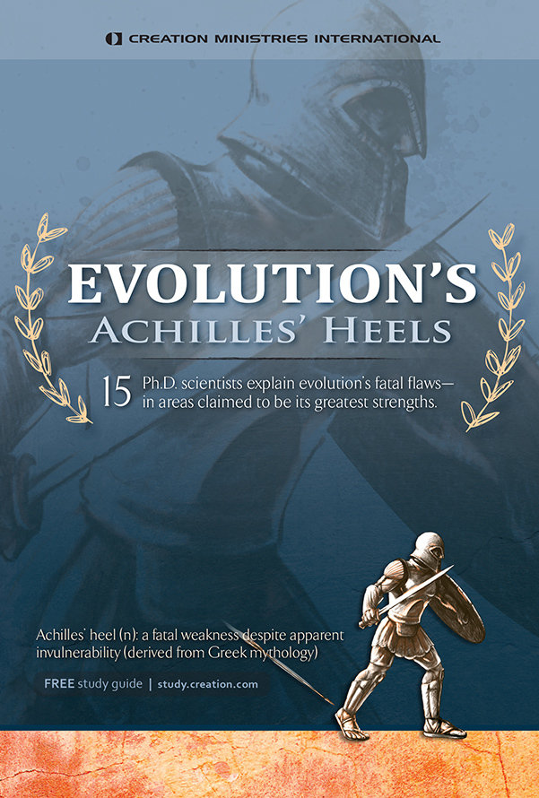 Az evolúció Achilles sarkai.