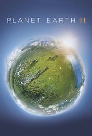 Bolygonk a Föld (2017) : 2. évad