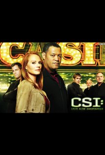 CSI: A helyszínelők (2005) : 5. évad