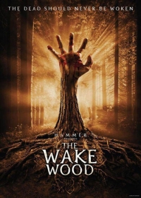 Ébred az erdő