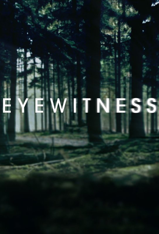 Eyewitness (2016) : 1. évad