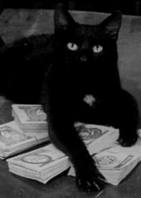 Fekete macska (1972)