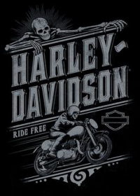 Harley és a Davidson fiúk