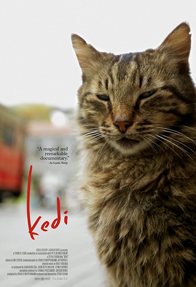 Kedi: Isztambul macskái