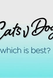 Kutya-macska párbaj: ki a jobb?