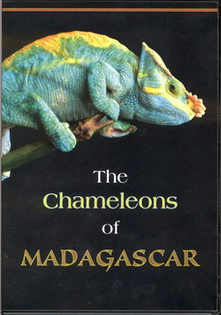 Madagaszkár - A kaméleonok földje