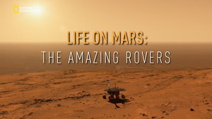 Maraton a Marson