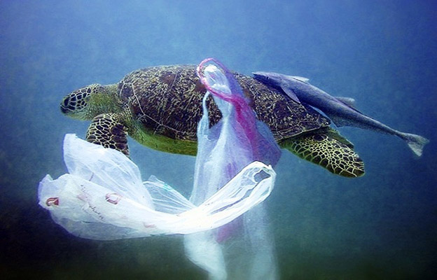 Műanyag: A tengerek valódi réme