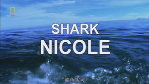 Nicole, a nagy fehér cápa