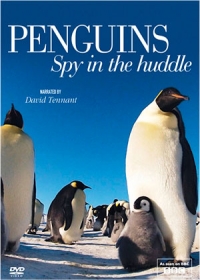 Penguins: Spy in the Huddle 1. évad