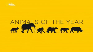 Sérülékeny természet-2017 állatai