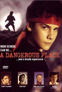 Veszélyek iskolája (1994)